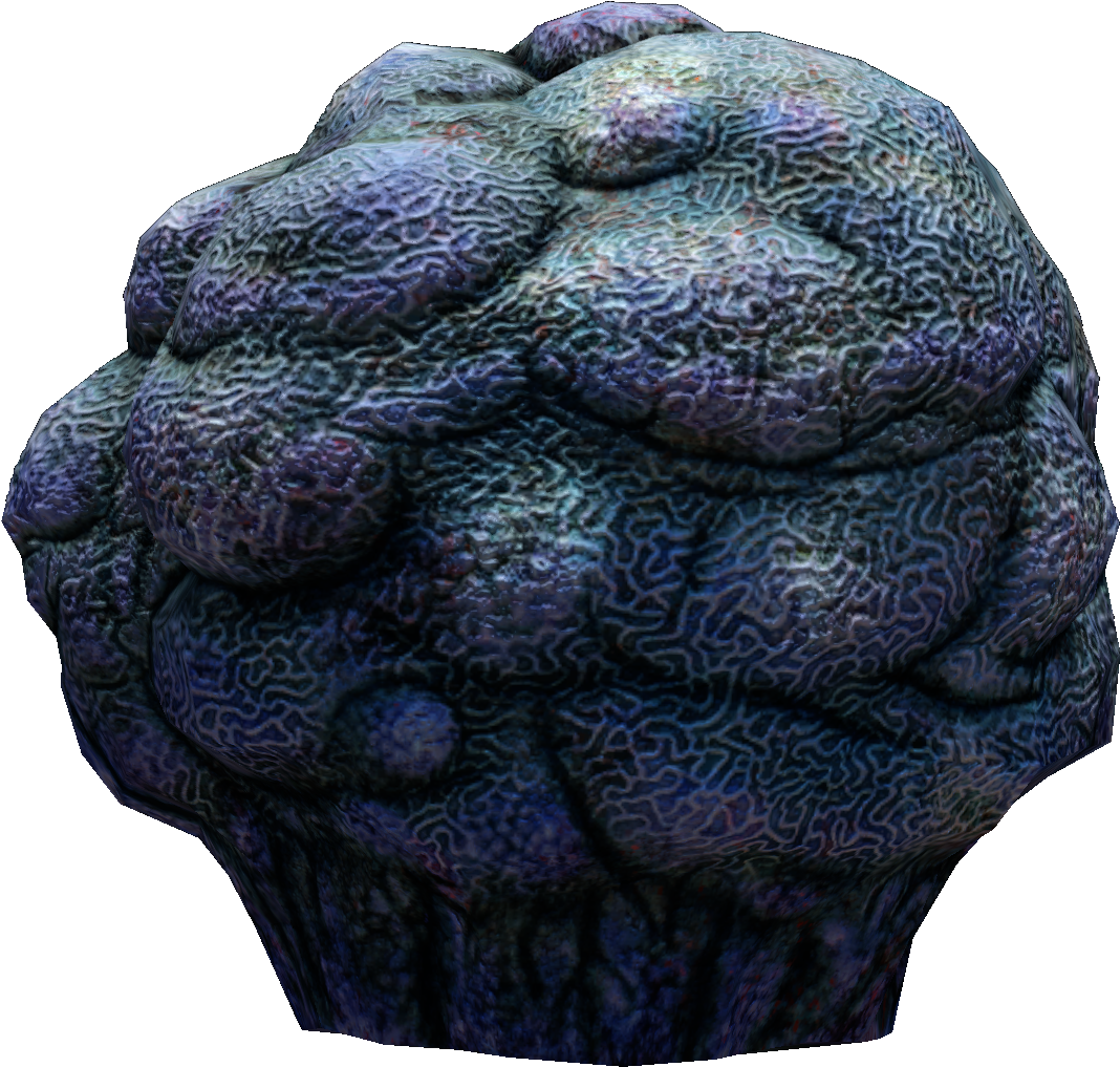 Lost River Cave Coral Fauna - Cave (1080x1080), Png Download