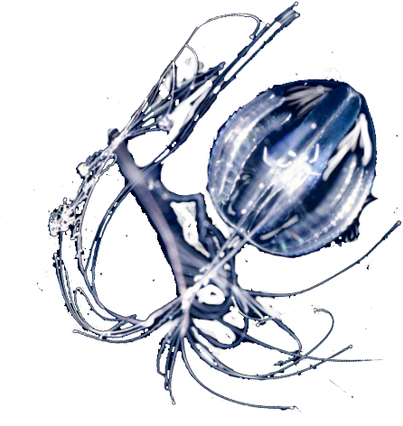 Pleurobrachia - Zooplancton Png (500x500), Png Download