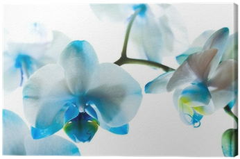 Bible Verses With White Flowers (400x400), Png Download