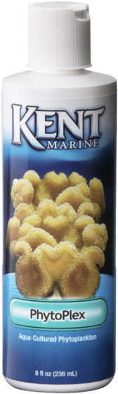 Ke Phytoplex 8 Oz - Kent Marine Phytoplex Phytoplankton 16 Oz. (600x600), Png Download