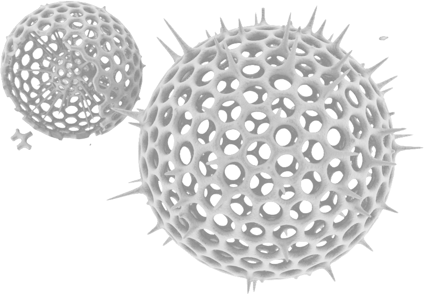 Plankton 1user2017 07 05t11 - Sea (900x600), Png Download