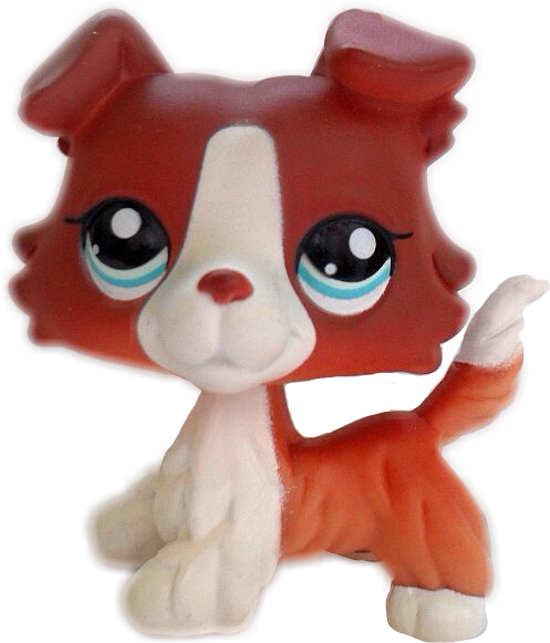 Lps Collie Png (497x581), Png Download