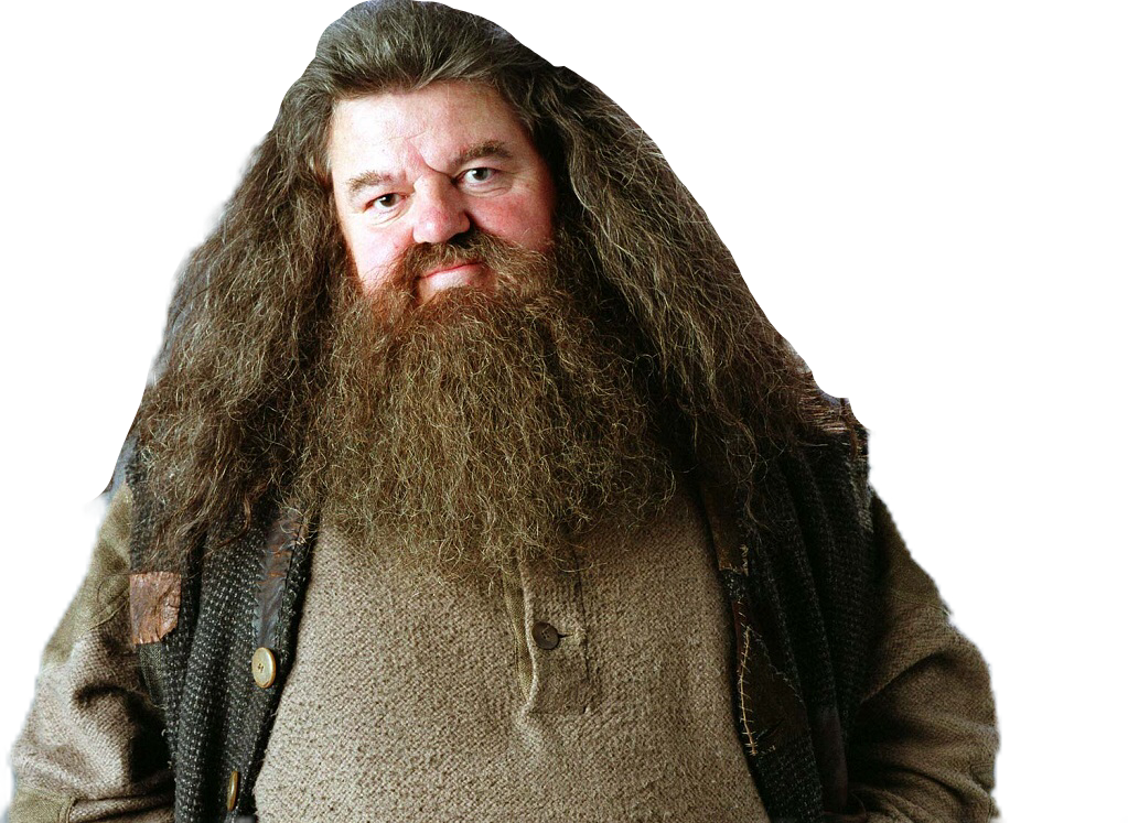 Report Abuse - Robbie Coltrane Rhona Gemmell (1023x747), Png Download