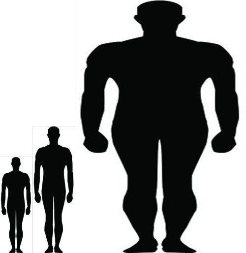 Image - 5 11 And 6 0 Comparison (500x514), Png Download