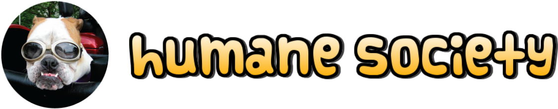 Kahoot - Graphics (1171x265), Png Download