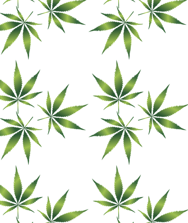 Last Week I Attended A Seminar Entitled Marijuana And - Weed Leaf Pattern Png (609x720), Png Download