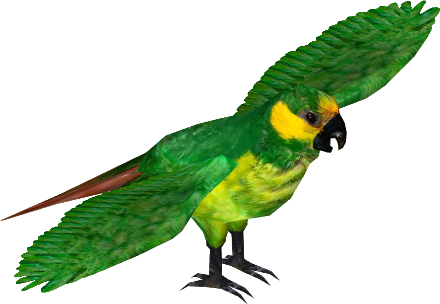 Yellow-eared Parrot - Yellow Eared Parrot (884x884), Png Download