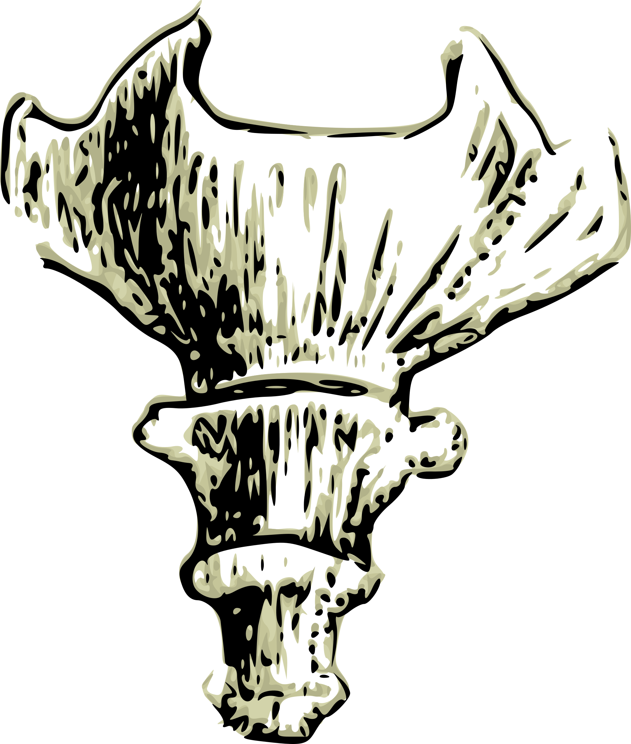 This Free Icons Png Design Of Coccyx Human Tail Bone (2036x2400), Png Download