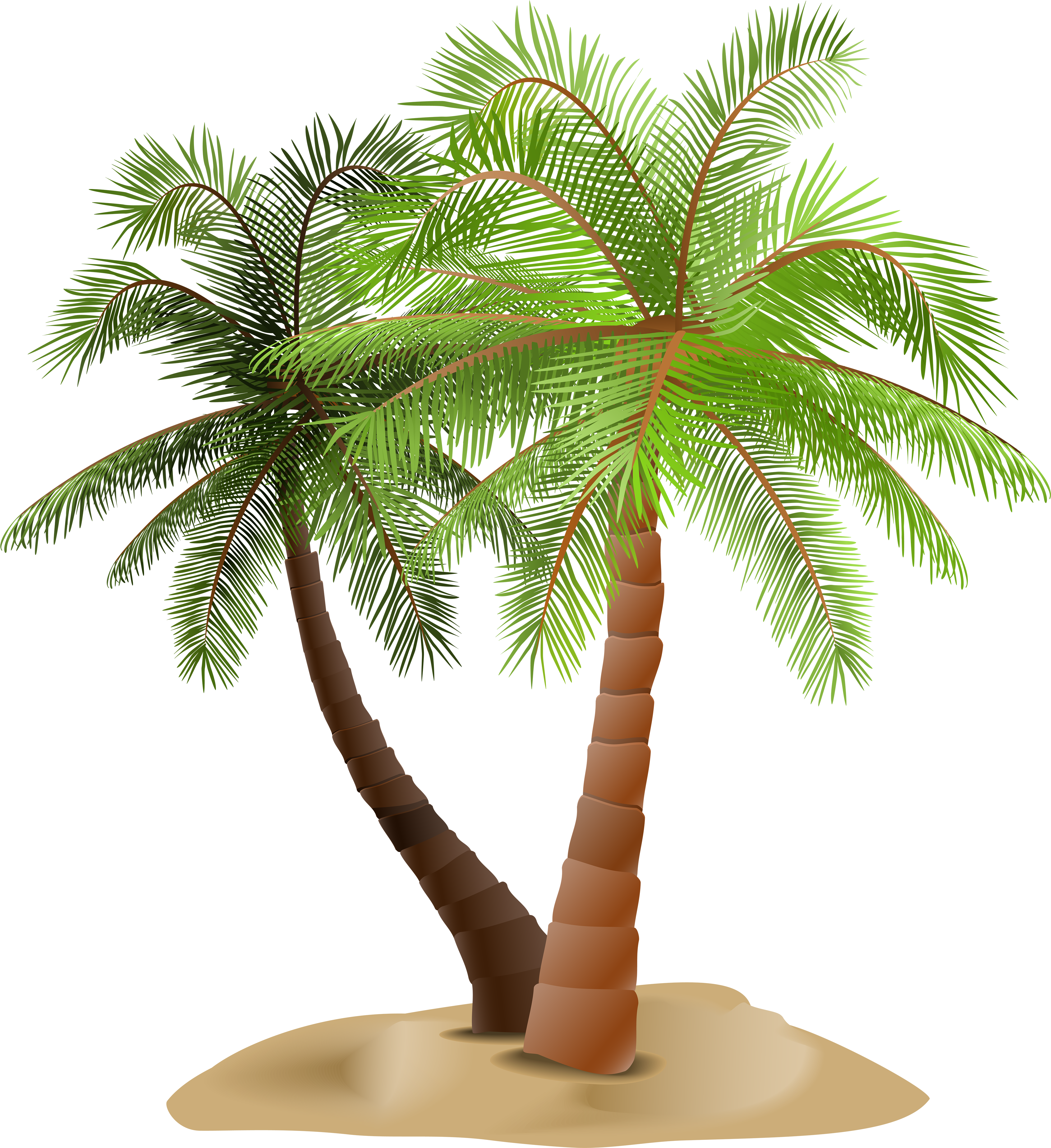 Ambesonne Coastal Decor Collection, Dining In Beach (4623x5000), Png Download