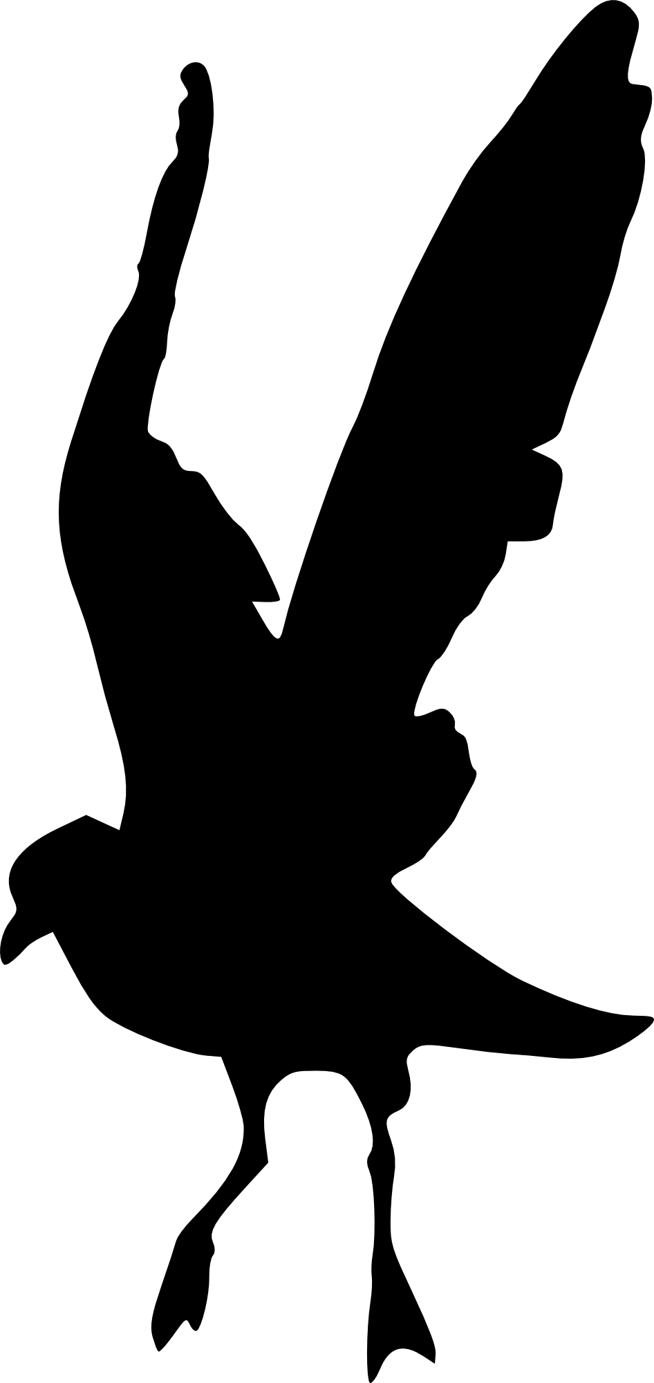 Free Download - Portable Network Graphics (946x2000), Png Download