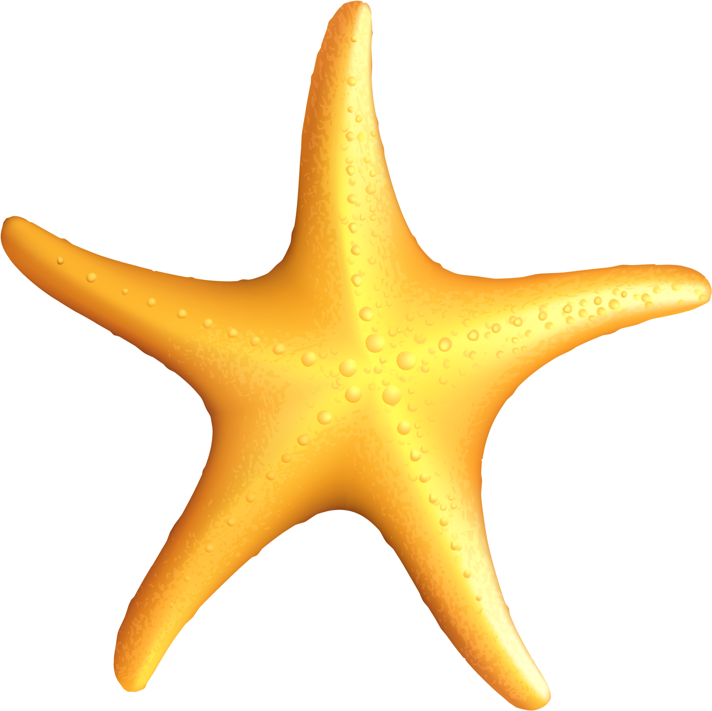 Transparent Starfish Png Gallery Yopriceville View - Starfish Clipart (2488x2558), Png Download