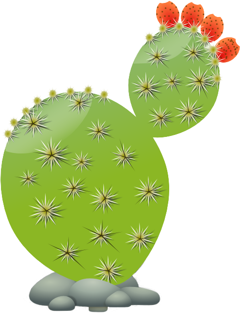 Free To Use Amp Public Domain Cactus Clip Art - Prickly Pear Cactus Clipart (555x692), Png Download