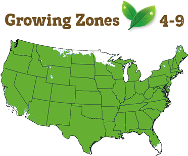 Shipping Restriction - If Us Land Was Divided Like Us Wealth (400x322), Png Download