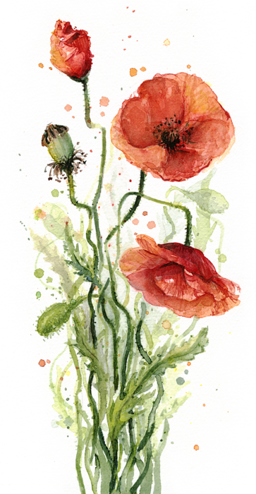 Click And Drag To Re-position The Image, If Desired - Watercolor Poppy (363x700), Png Download