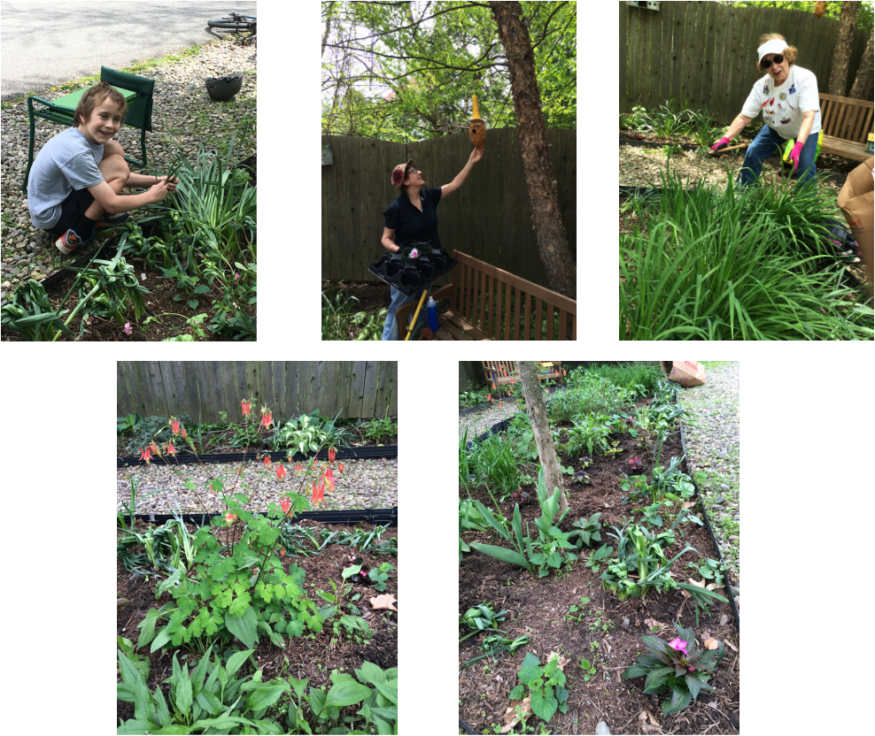 Picture - Yard (988x832), Png Download