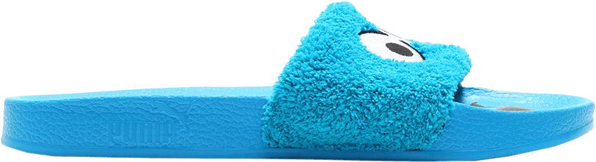 Delicate C5e42 86a25 Sesame Street X Leadcat Cookie - Slipper (1000x1000), Png Download