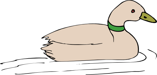 Duck Clipart Water - Duck In Water Clip Art (600x287), Png Download