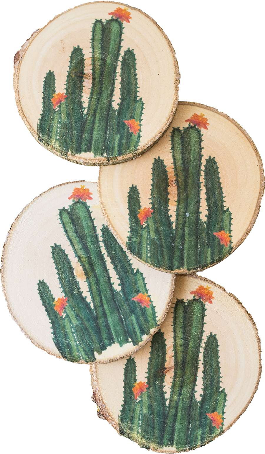 Watercolor Tall Cacti - Watercolor Painting (900x1539), Png Download