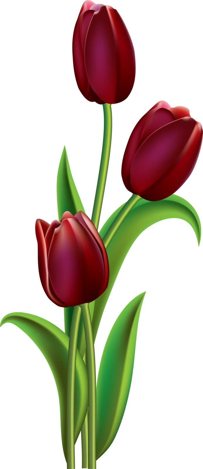 Фото, Автор Soloveika На Яндекс - Fabric Painting Tulip Flowers (693x1600), Png Download