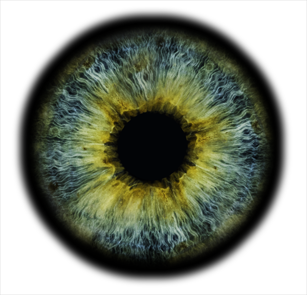Ophthalmologists In Toronto, Scarborough, & Unionville - Toronto (600x577), Png Download