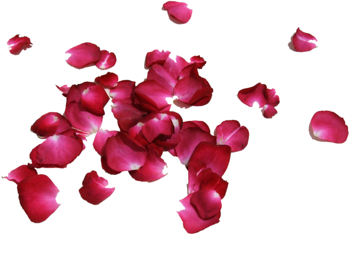 Share This Image - Petal (750x600), Png Download