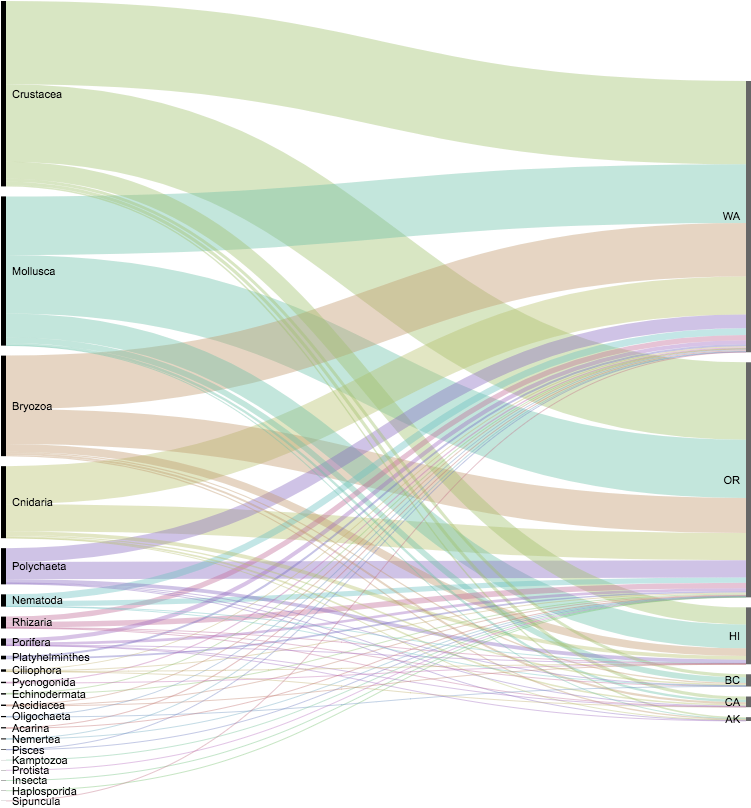 Alluvial Diagram Showing The Geographic Landing By - Alluvial Diagram (750x820), Png Download