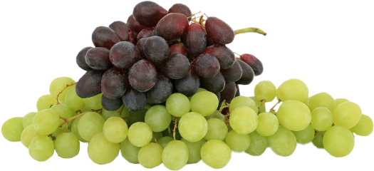 Grapes Freetoedit - Anggur Merah Dan Hijau (525x240), Png Download