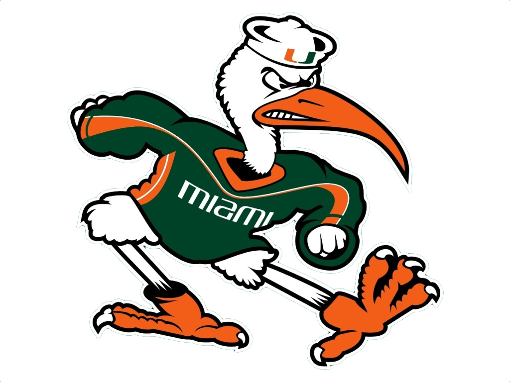 University - University Of Miami Mascot (1024x768), Png Download