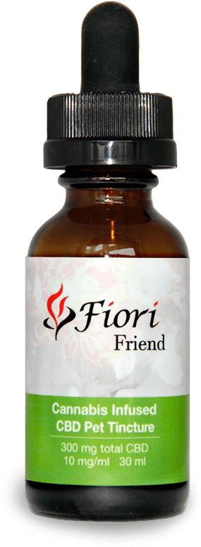 Friend - Fiori Friend (800x800), Png Download