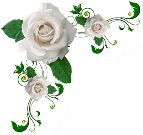Clip Art Flowers Real (500x477), Png Download
