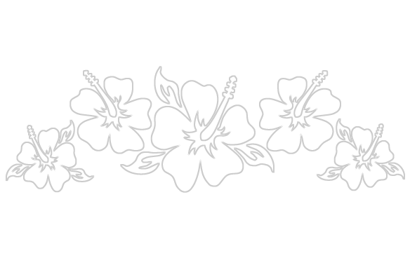Hibiscus Transparent Border - Flowers (584x368), Png Download