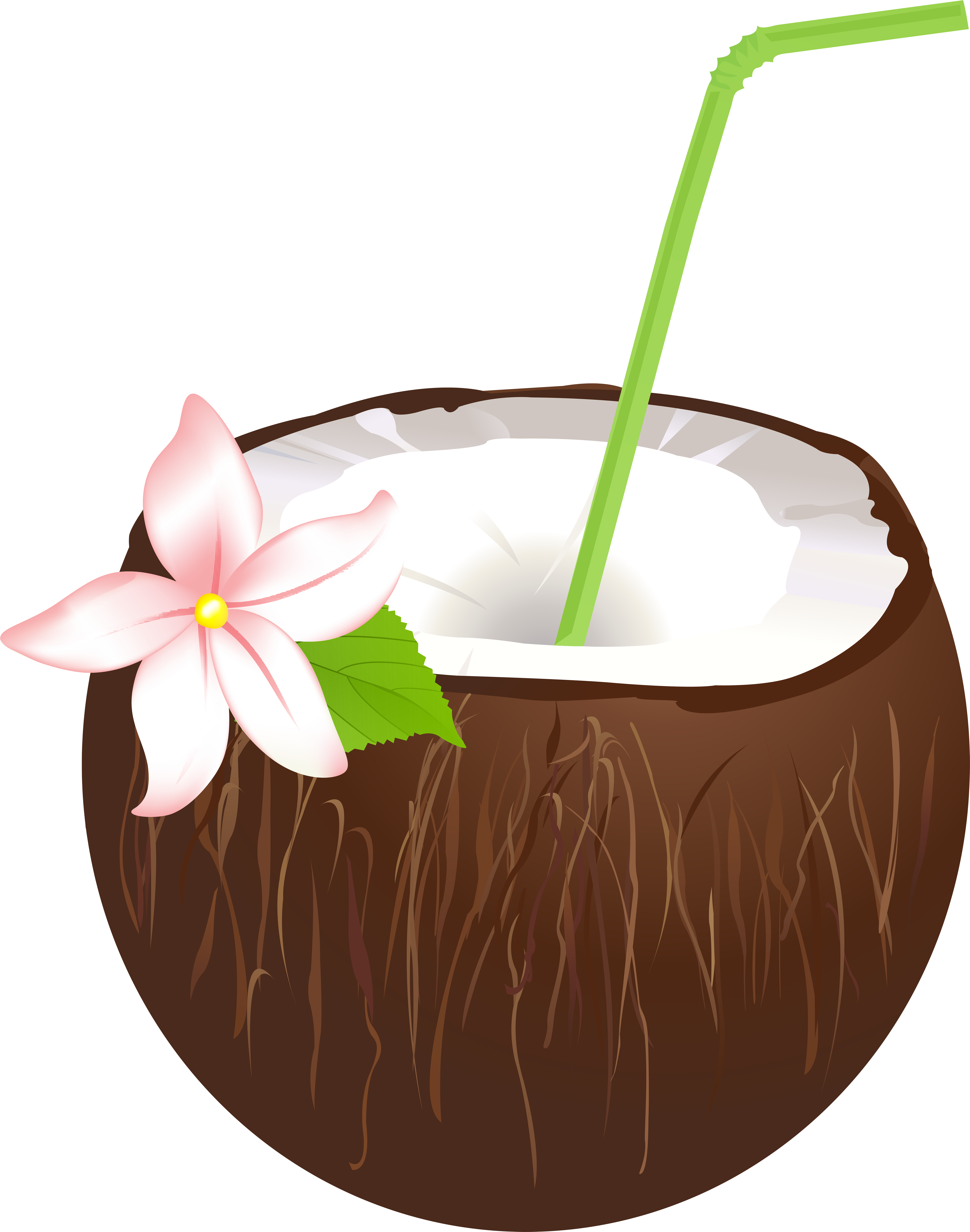 Summer Coconut Drink Png Clip Art Image (6278x8000), Png Download