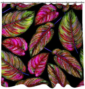 Colorful Leaves Of Exotic Calathea Ornata Plant On - Leaf (400x400), Png Download