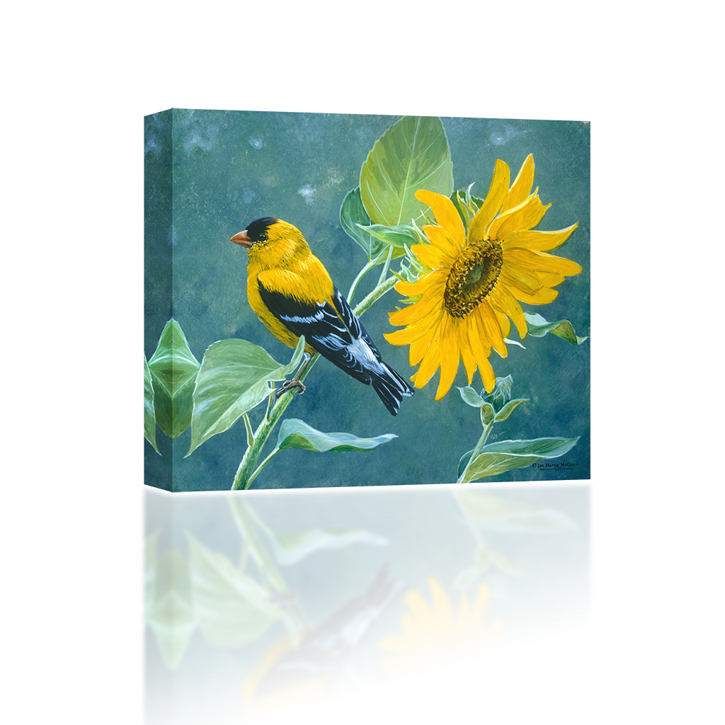 Bird On A Sunflower - American Goldfinch (1024x1024), Png Download
