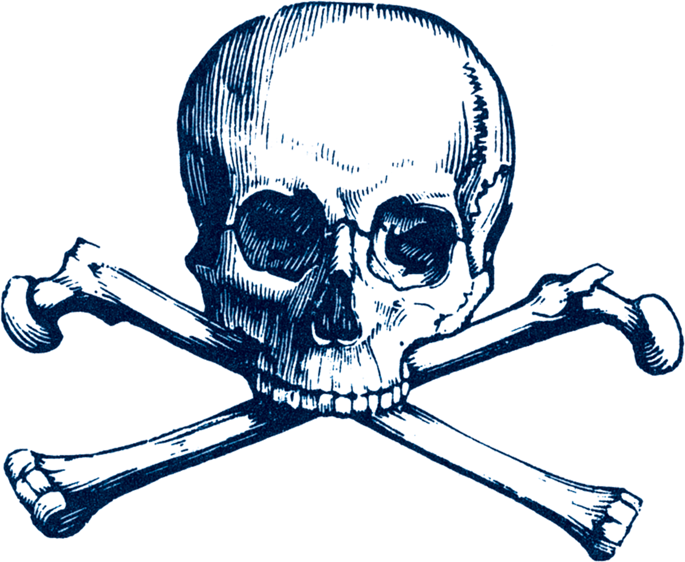 Cartolina Skull - Skull And Crossbones Throw Blanket (2048x2048), Png Download