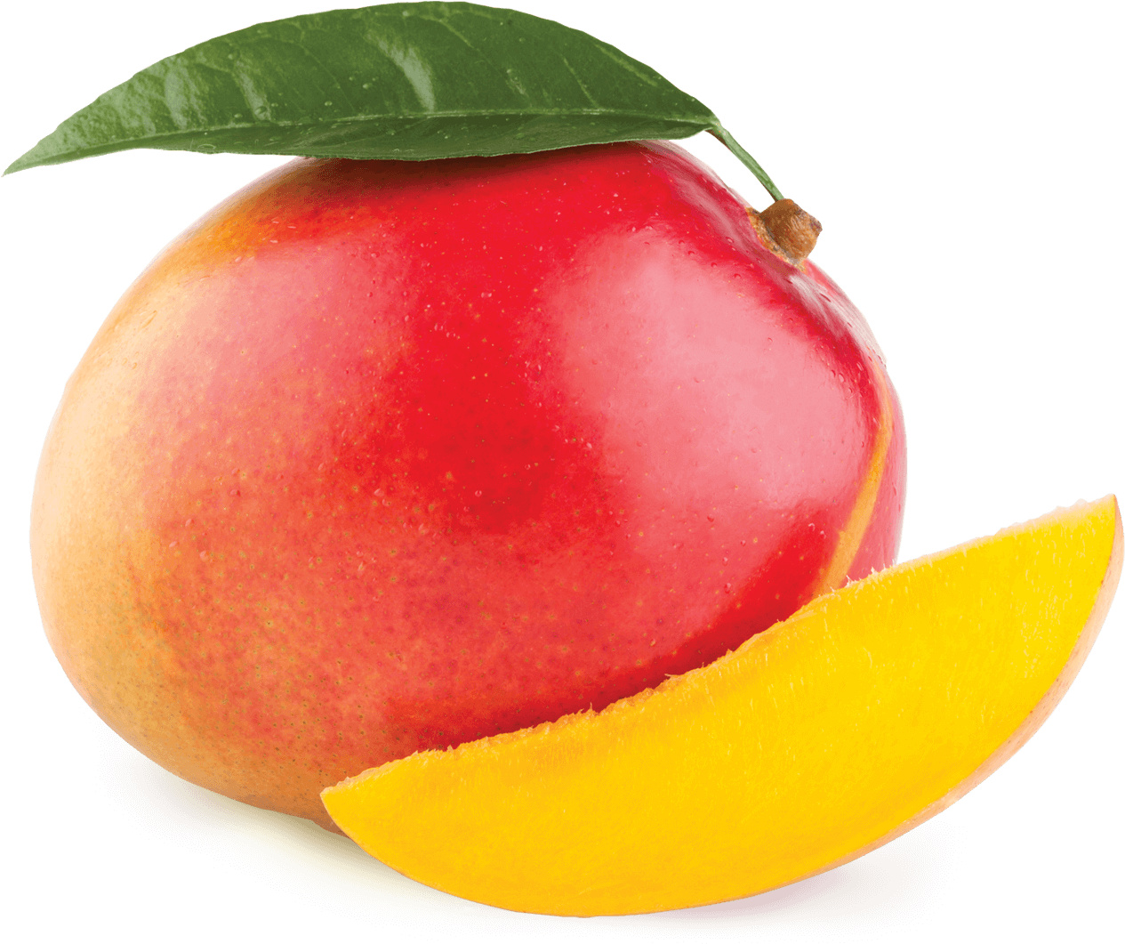 Mango Tropical Png - Tropical Mango (1500x1500), Png Download