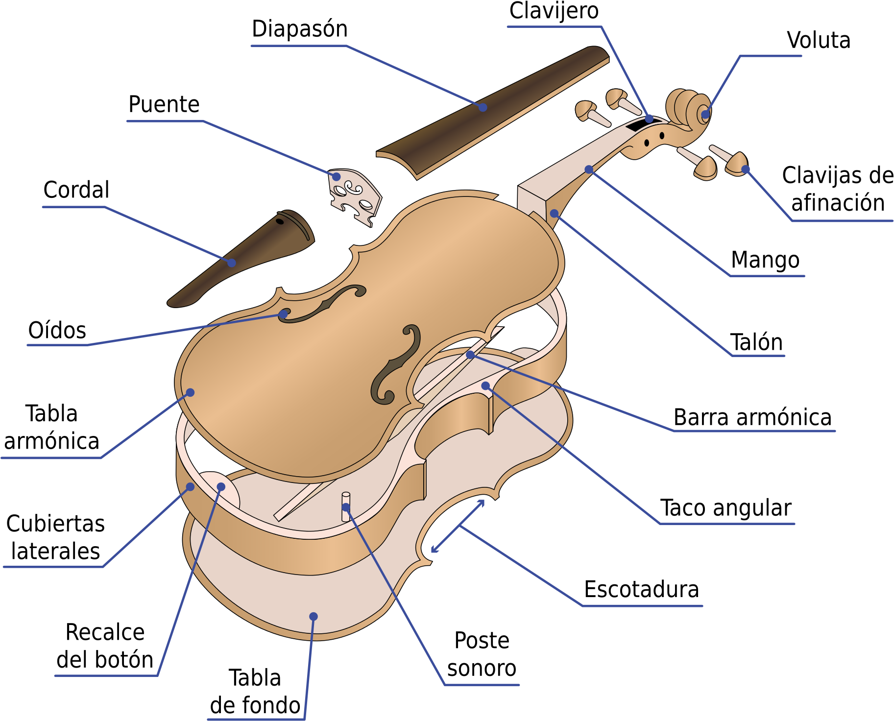 Open - Partes De Un Violín (2000x1640), Png Download