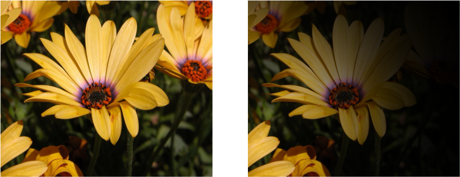 Availability - Art (972x396), Png Download