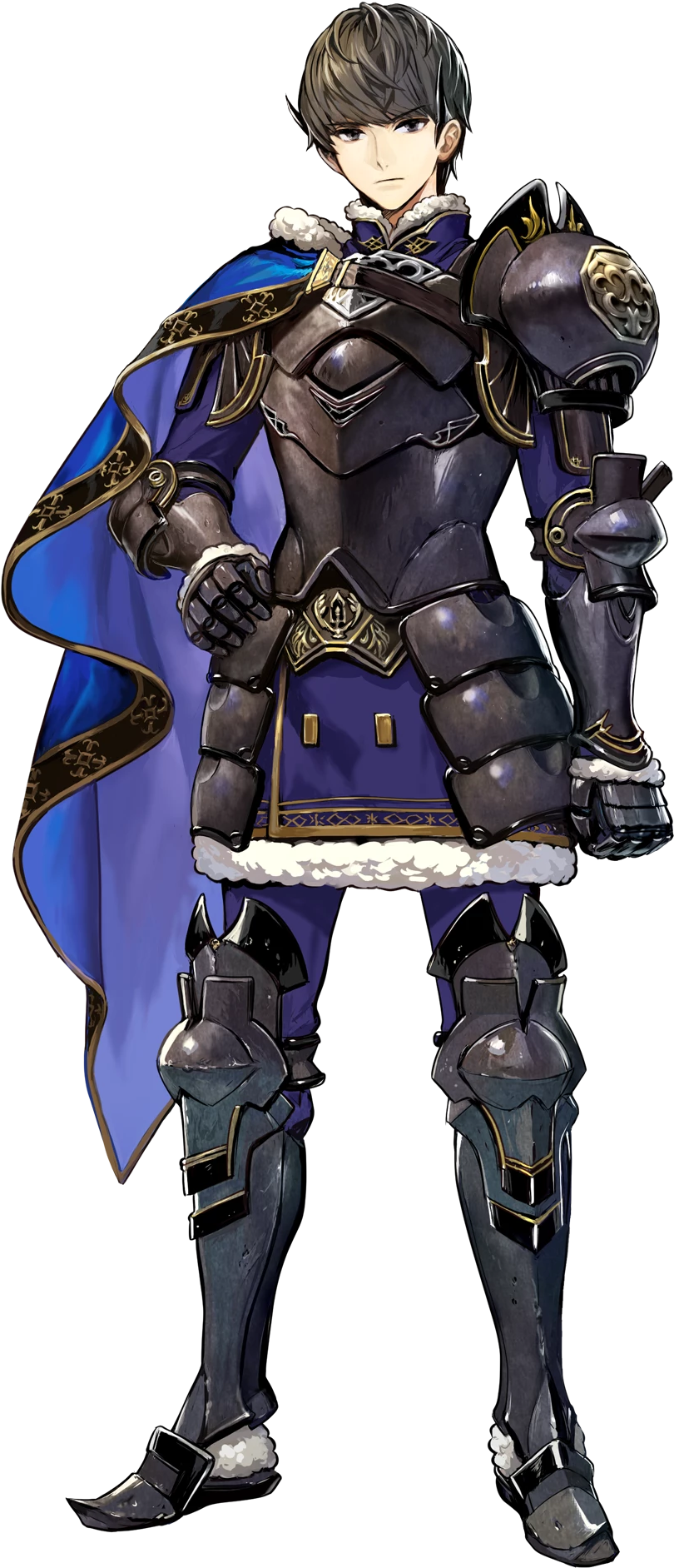 Berkut From Fire Emblem Echoes - Fire Emblem Heroes Berkut (896x1920), Png Download
