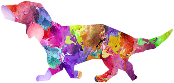 Dog, Painted Dog, Colorful Dog, Puppy - Dog (604x340), Png Download