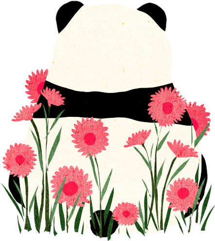 Largest Collection Of Free To Edit Chinese Water Dragon - Fondos De Pantalla Pandas (480x515), Png Download