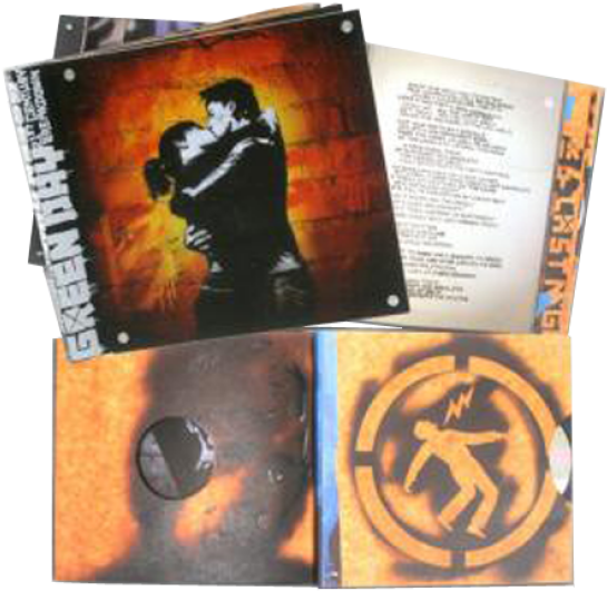 21st Century Breakdown Ultimate Edition - 21st Century Breakdown (10") Lp (800x800), Png Download