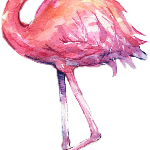 Фламинго Акварелью (480x480), Png Download