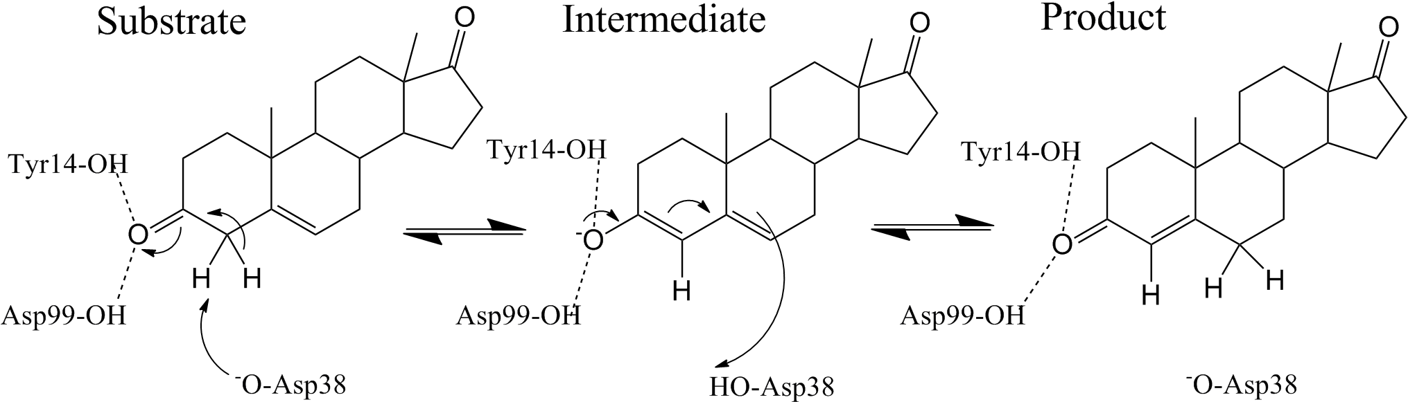 Ksi Mechanism - Steroid Delta-isomerase (2045x608), Png Download