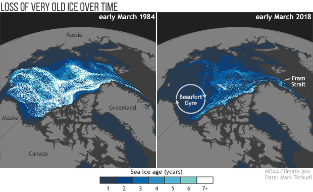 Old Sea Ice Continues Disappearing From The Arctic - Arctic Sea Ice 2018 (620x380), Png Download