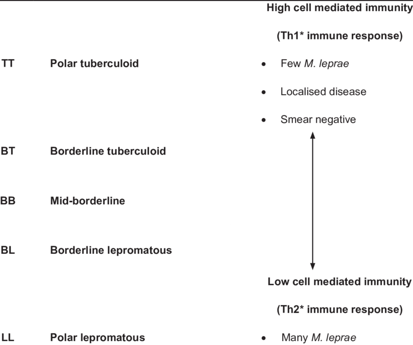 Ridley-jopling Classification Of Leprosy - Ridley Jopling Classification Of Leprosy (850x711), Png Download