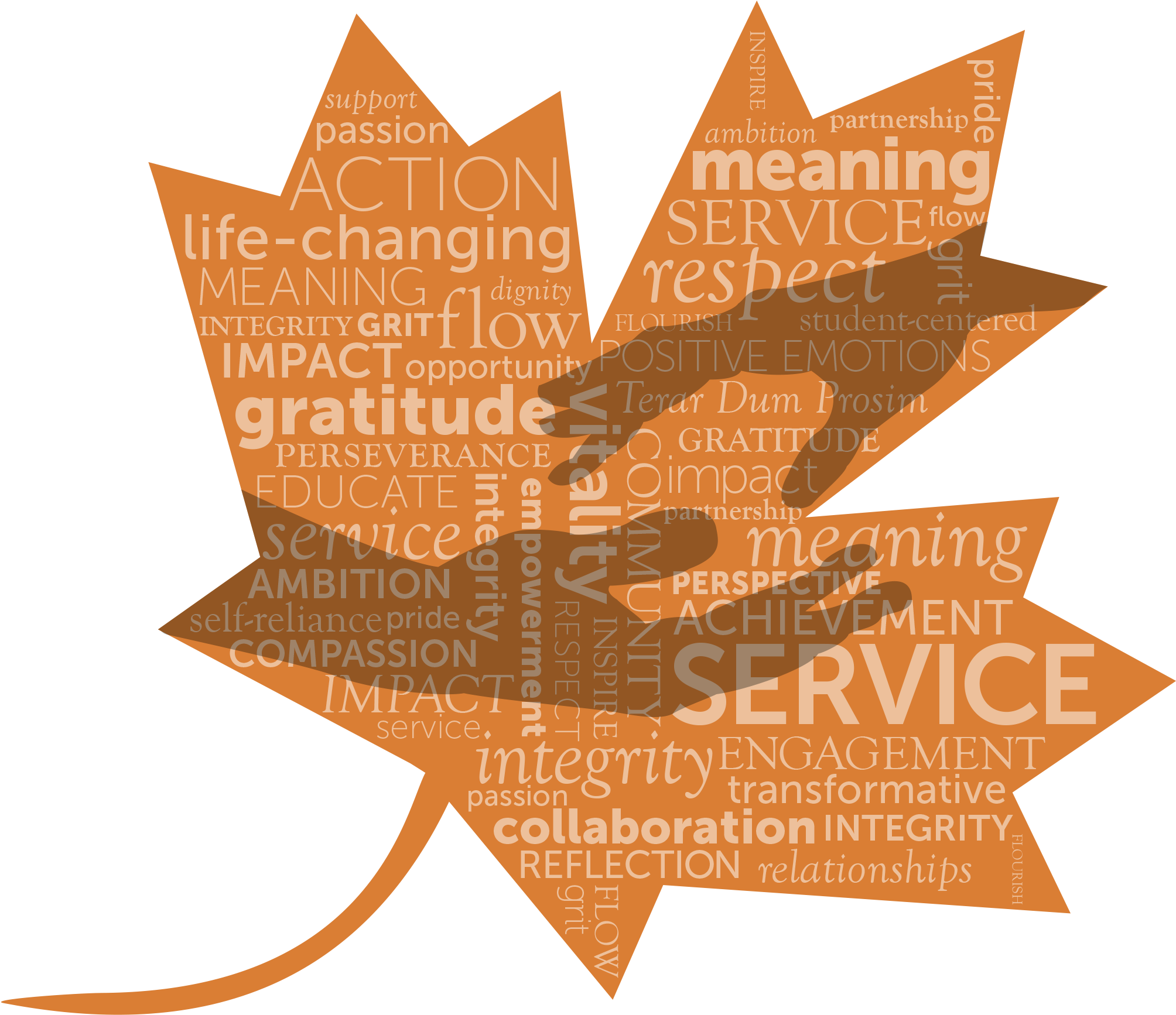 During The 2017 March Break, Three Groups Of Ridley - Service-learning (2038x1763), Png Download