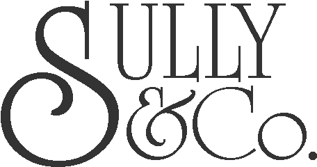 Sully And Co Accountants - Chartered Accountant (500x272), Png Download