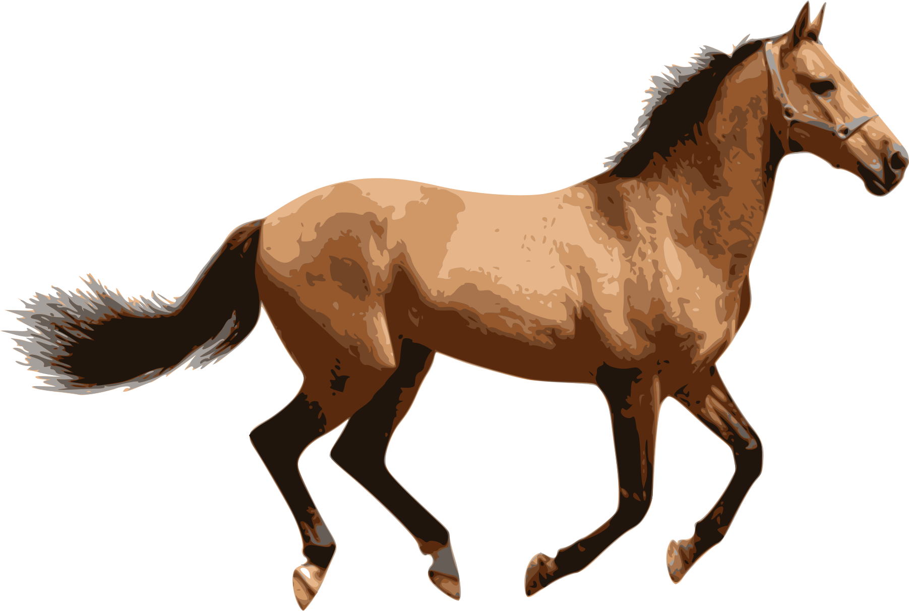 This Free Icons Png Design Of Caballo 2 (2400x1697), Png Download