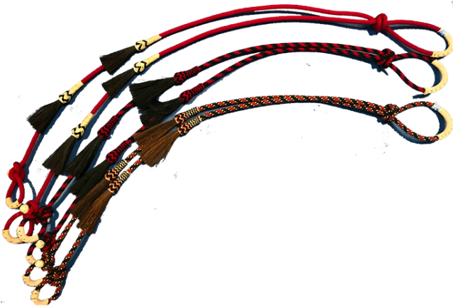 Horse (700x525), Png Download